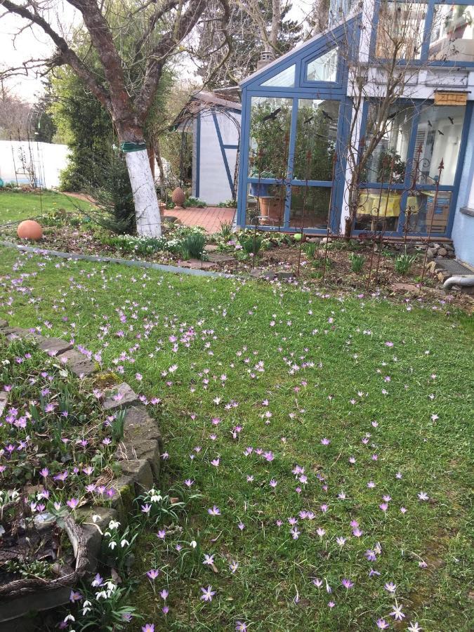 Apartamento Blaues Haus Niederdorfelden Exterior foto